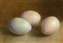 Three Eggs 5X7.jpg