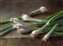 Scallions 6X8.jpg